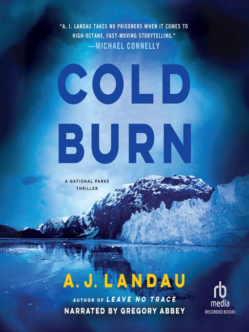 Title details for Cold Burn by A. J. Landau - Wait list